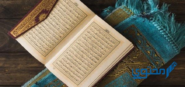 أفضل مكتب تأجير خادمات حفر الباطن