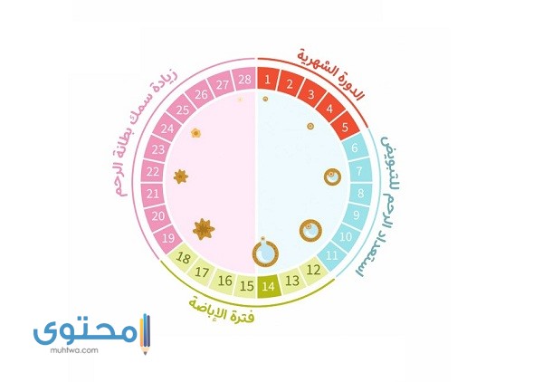 نزول دم قبل موعد الدورة بيومين مع مغص