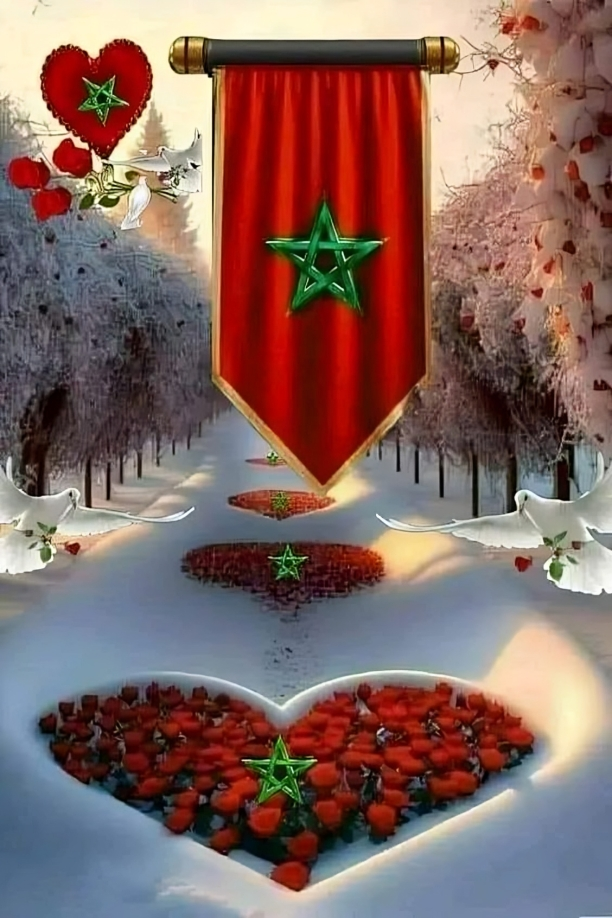 صور تصميمات علم المغرب