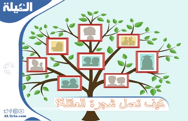 كيف تعمل شجرة العائلة لمعرفة النسب والأقارب ؟