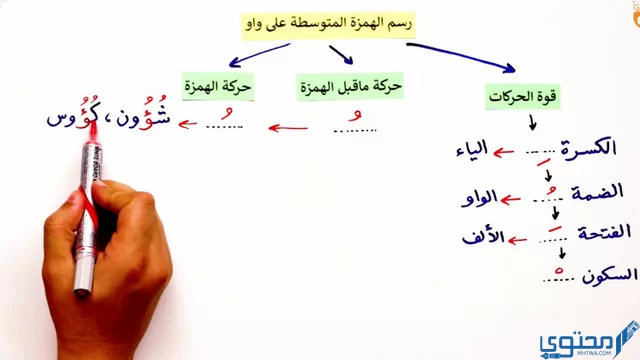 الهمزة المتوسطة على الواو