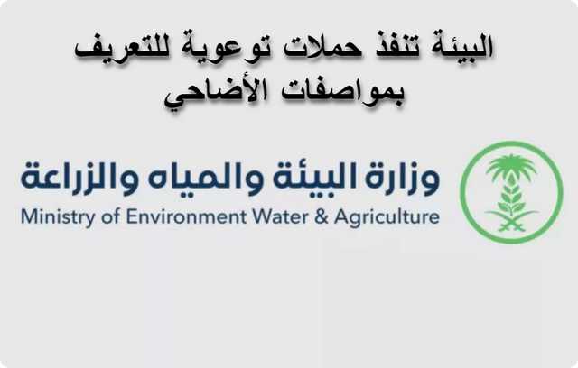 وزارة البيئة تنفذ حملات توعوية للتعريف بمواصفات الأضاحي خلال موسم الحج