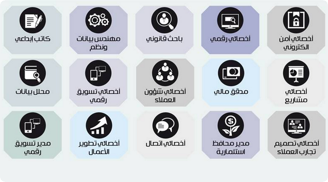 التخصصات الجامعية