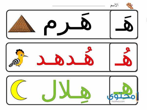 صفات تبدأ بحرف الهاء