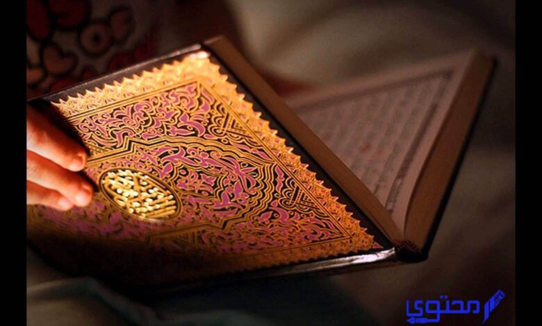 اسماء روايات القرآن الكريم وعددهم