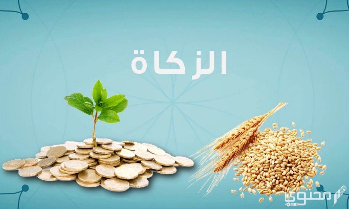 هل يجوز اخراج زكاة الفطر على الاقارب