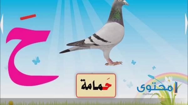 أفعال تبدأ بحرف الحاء