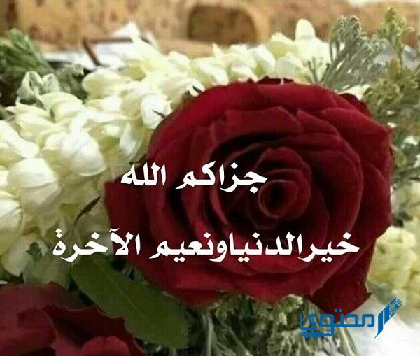 الرد على عز الله مقامك