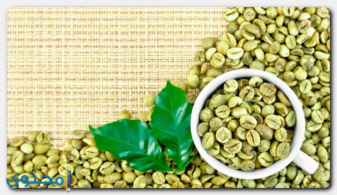 فوائد القهوة الخضراء 