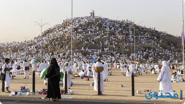 اهم 5 تفسيرات حول رؤية يوم عرفة في المنام