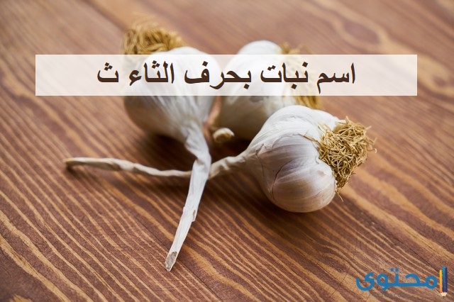 اسم نبات بحرف الثاء ث (اشهر نباتات بحرف ث)