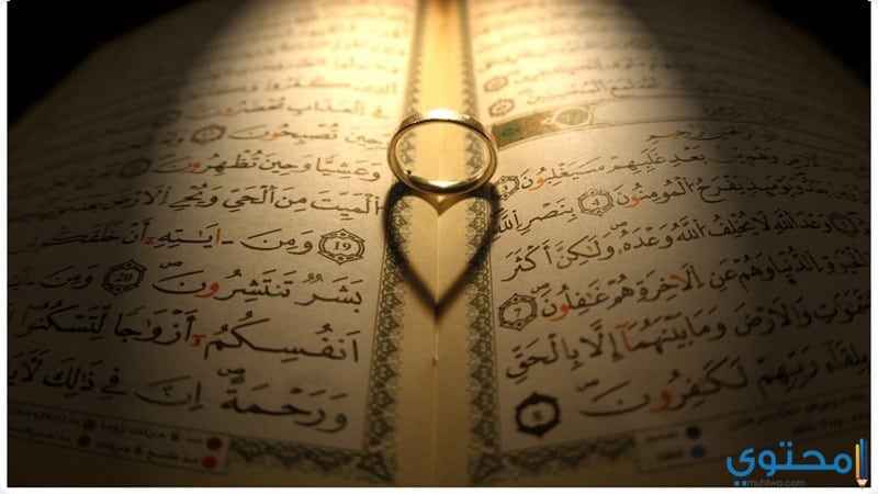 husband islam4 المعاملة الزوجية في الإسلام بين الزوجين