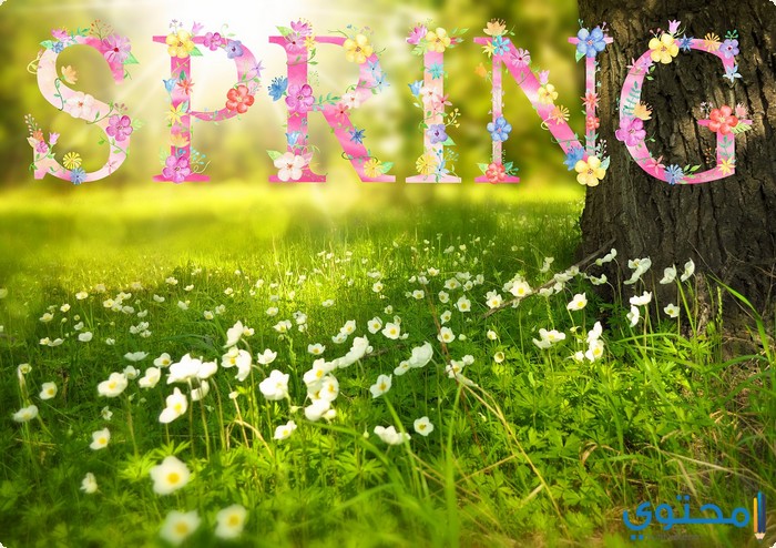 spring 1210194 1280 موضوع تعبير عن الربيع بالعناصر المقدمة والخاتمة