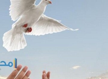 أحاديث عن السلام بين الشعوب (دعوة للسلام من الرسول الكريم)