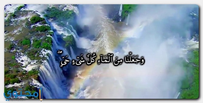 آيات قرآنية عن الماء