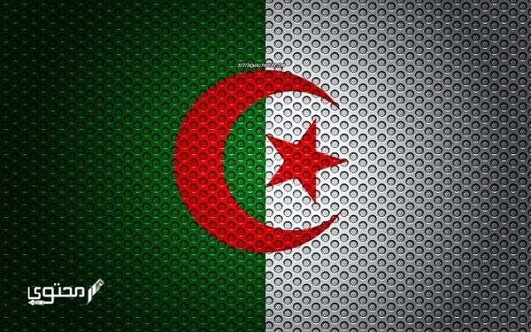 أجمل صور علم الجزائر 2024