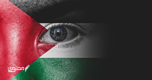 صور علم فلسطين المحتلة 2024 خلفيات العلم الفلسطيني HD
