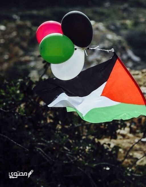 أجمل صور علم فلسطين 2024 خلفيات العلم الفلسطيني.. تُعبر عن صمودها ورفع رايتها بين الدول