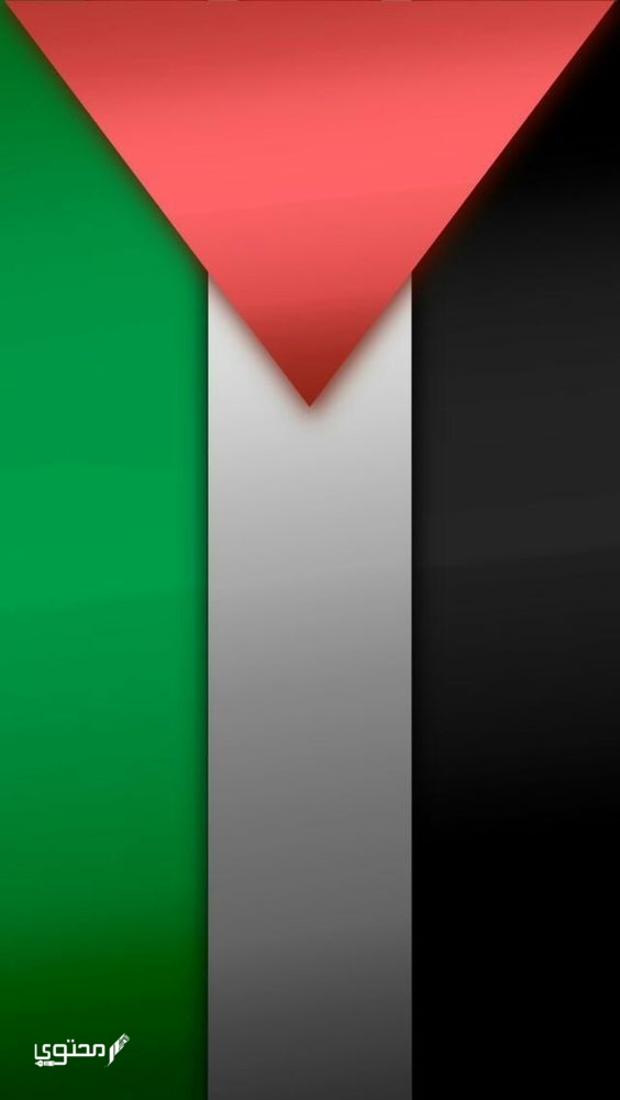 أجمل صور علم فلسطين 2024 خلفيات العلم الفلسطيني.. تُعبر عن صمودها ورفع رايتها بين الدول