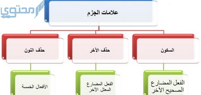 أدوات الجزم الفعل المضارع