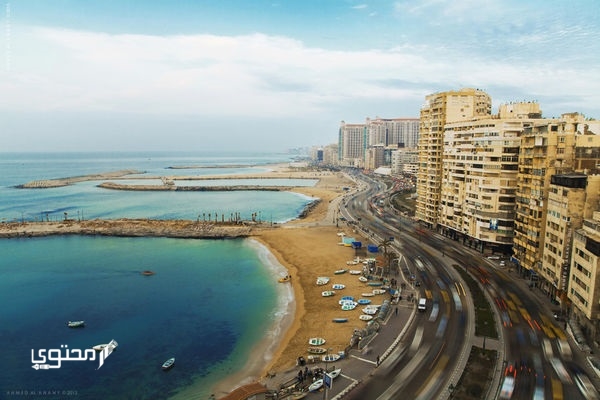 أرخص 4 فنادق في الإسكندرية مناسبة لجميع الفئات