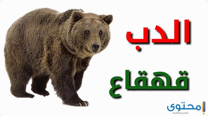 أسماء أصوات الحيوانات