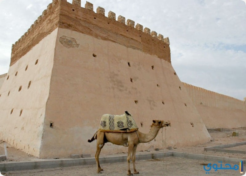 أوفلا1 اهم المعلومات وصور السياحة في المغرب 2024