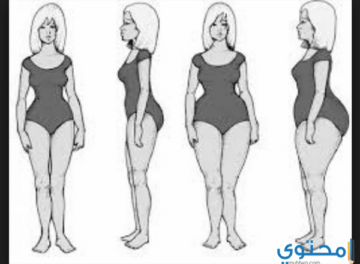 الجسم3 1 تعرفي على جسدك جميع أنواع أجسام النساء