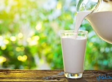 2 فوائد الحليب وقيمته الغذائية ملف كامل
