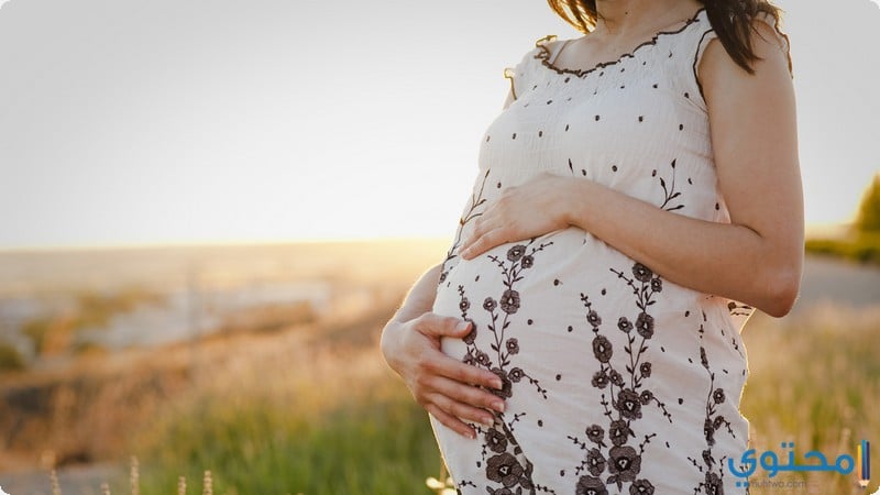 5 فوائد الحمضيات (الجريب فروت) للحامل والصحة