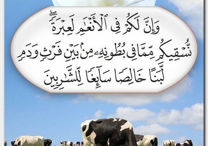 آيات الحيوانات في القرآن الكريم