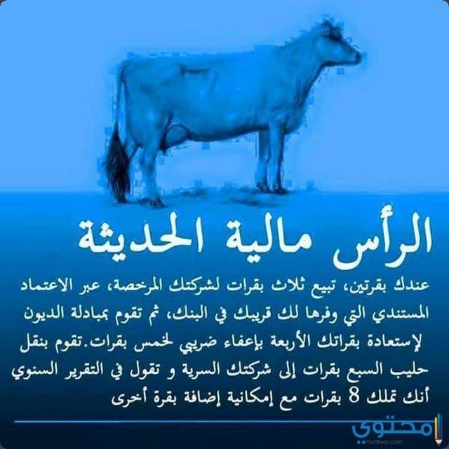 مفهوم النظام الرأسمالي