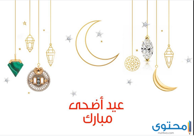 عبارات الرد على عيد أضحى مبارك وكلمات تهاني العيد