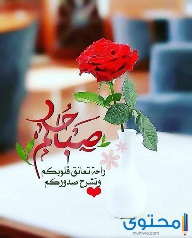 الرد على صباح الخير