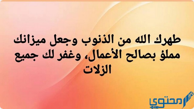 الرد على طهور ان شاء الله