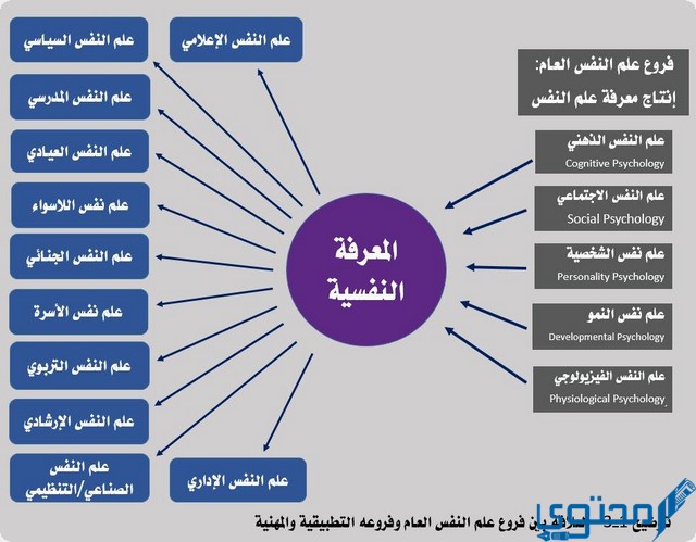 القبول في تخصص علم النفس