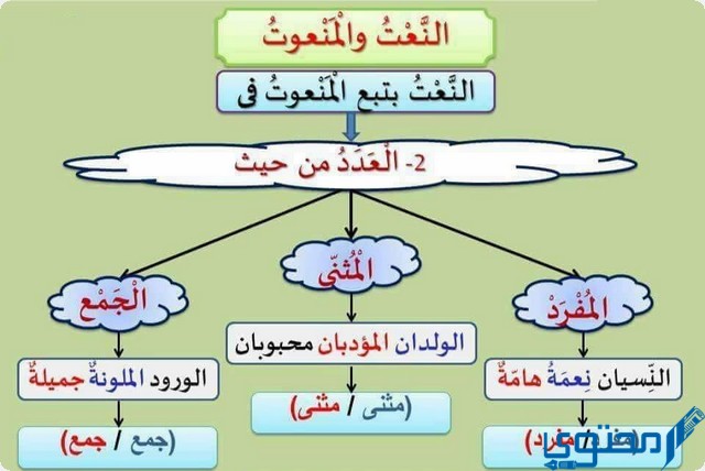 النعت والمنعوت