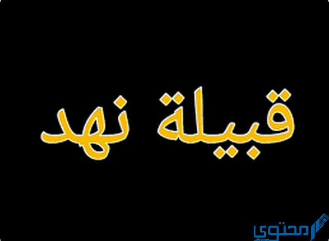 أصل قبيلة النهدي وش يرجع في نجران واليمن والإمارات