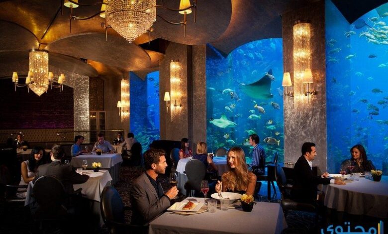 أفضل صور ومعلومات عن مطاعم دبي 2024