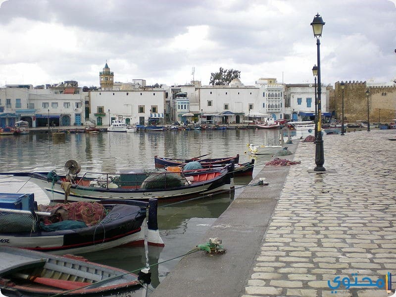 1 دليل صور السياحة في مدن تونس 2024