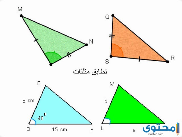 بحث عن التطابق