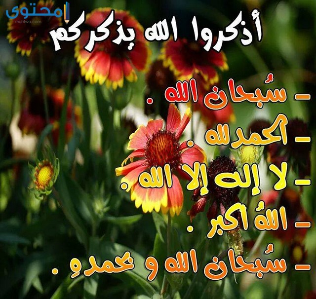 صور إسلامية روعه