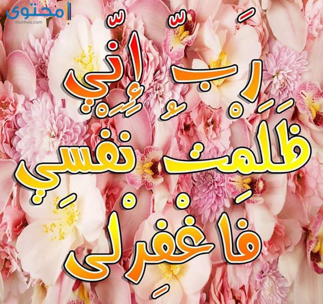 حالات واتس اب اسلامية