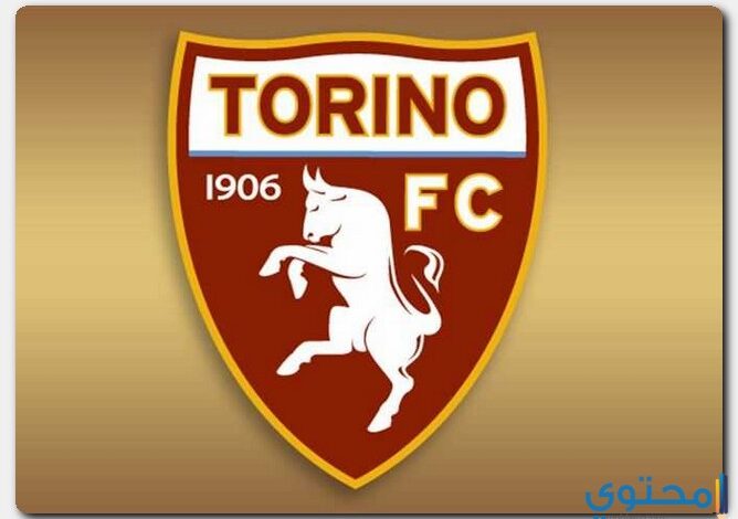 متى تم تأسيس نادي تورينو الإيطالي ؟