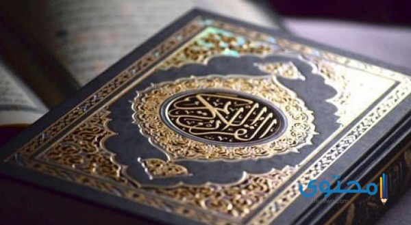 تردد قناة تايم قرآن Time Quran TV على النايل سات 2025