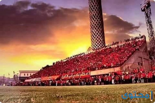 صور جماهير الاهلى