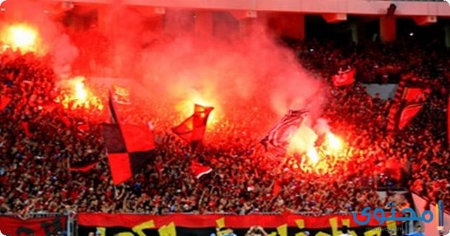 صور جماهير الاهلى