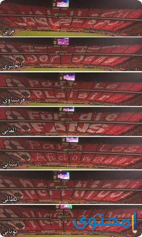 صور جماهير الاهلى