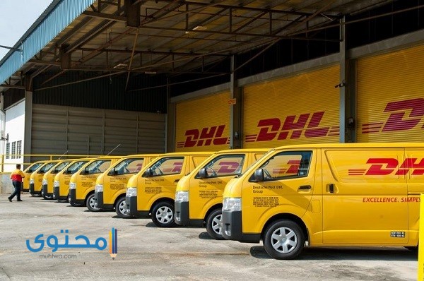 رقم خدمة عملاء DHL مصر (الخط الساخن) وأهم فروع الشركة