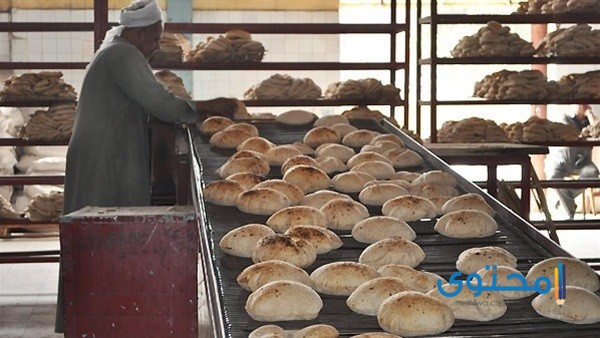 دراسة جدوى مشروع فرن عيش بلدي